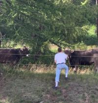 Nachhilfe Profilbild