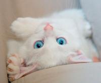 Nachhilfe Profilbild